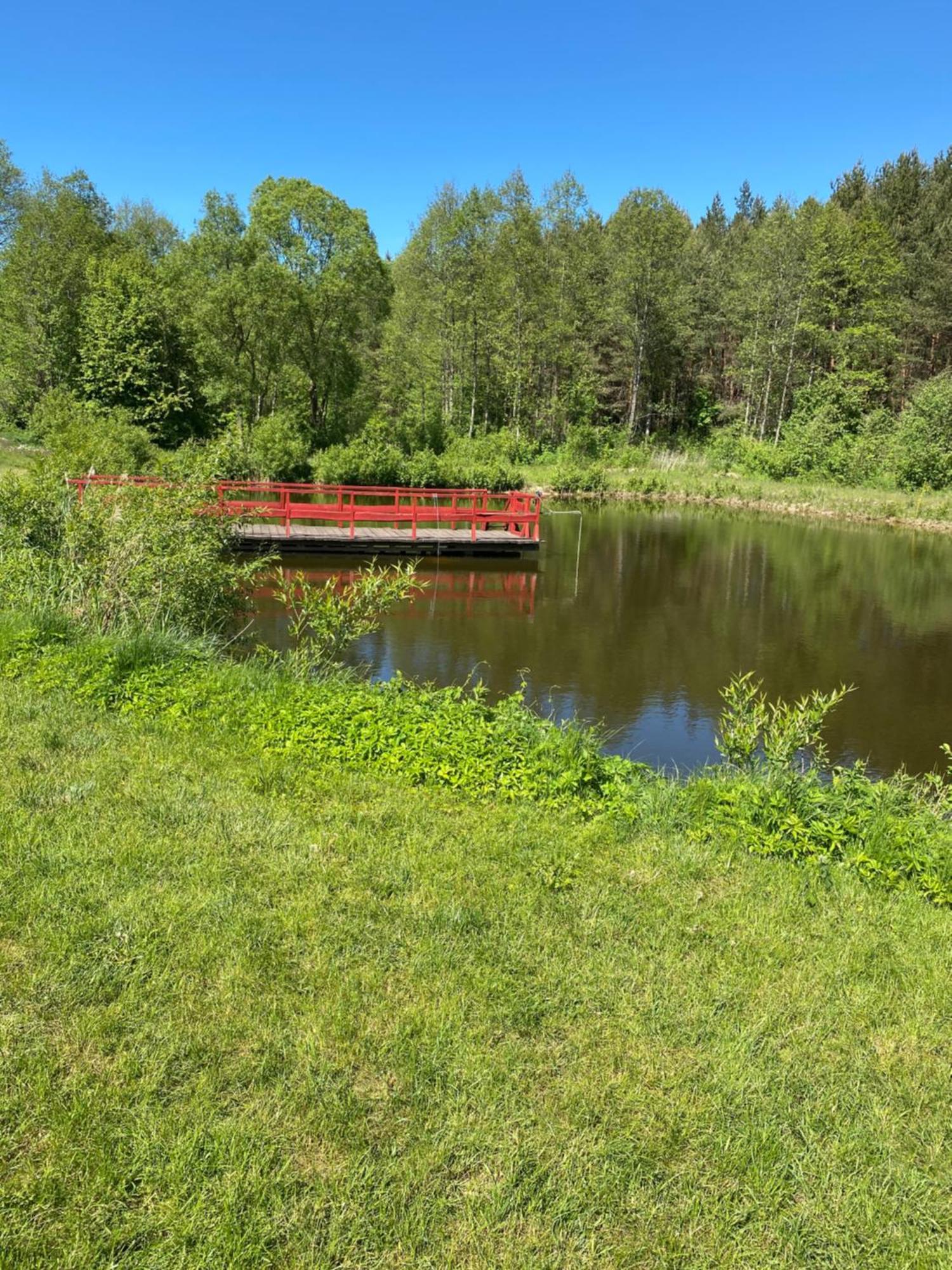 Agroturystyka Podlasie Dobrzyniewo Duze 외부 사진